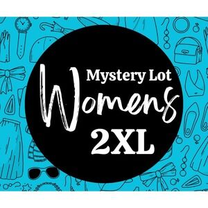 Mystery Lot Women 2XL XXL Fall Plus Clothing Bundle Tops Shirts Pullover Fashion